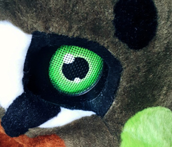 Eyeexample